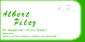 albert pilcz business card